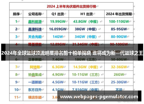 2024年全球篮球顶流明星排名前十榜单揭晓 谁将成为新一代篮球之王