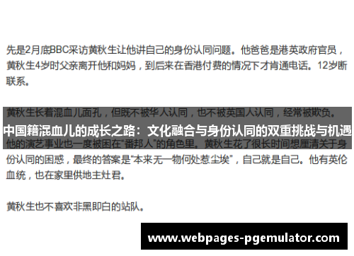中国籍混血儿的成长之路：文化融合与身份认同的双重挑战与机遇