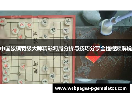 中国象棋特级大师精彩对局分析与技巧分享全程视频解说