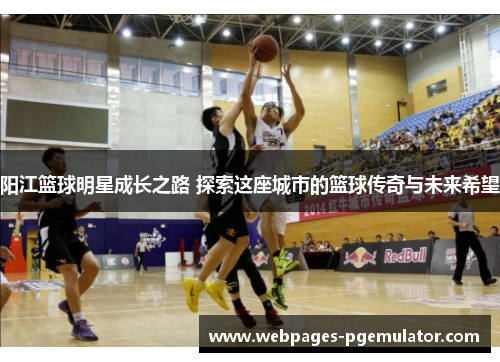阳江篮球明星成长之路 探索这座城市的篮球传奇与未来希望