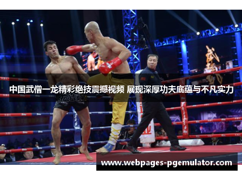 中国武僧一龙精彩绝技震撼视频 展现深厚功夫底蕴与不凡实力