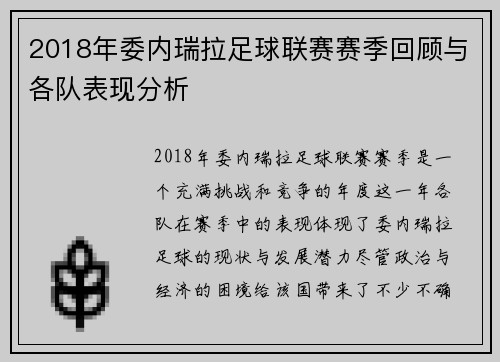 2018年委内瑞拉足球联赛赛季回顾与各队表现分析