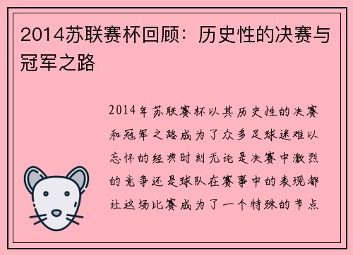 2014苏联赛杯回顾：历史性的决赛与冠军之路